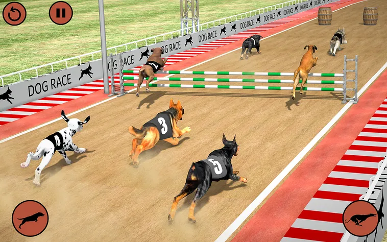 Bí Kíp Chơi Game Nhanh Đua Chó Tại GO88 Để Thắng Lớn 2 Bí Kíp Chơi Game Nhanh Đua Chó Tại GO88 Để Thắng Lớn