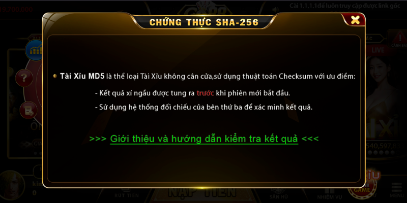 Mẹo Chơi Tài Xỉu MD5 Hiệu Quả Cho Người Mới