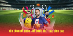 Keo Bong Da GO88 – Ca Cuoc The Thao Dinh Cao